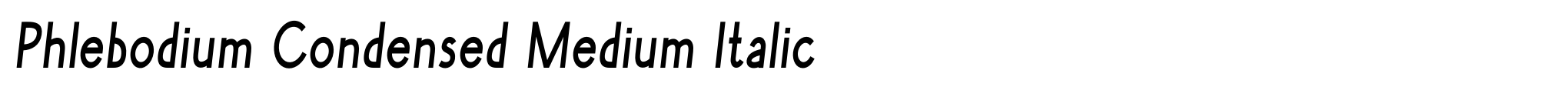 Phlebodium Condensed Medium Italic image